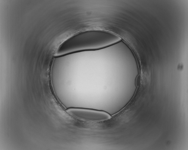 X0000112790389200909111217