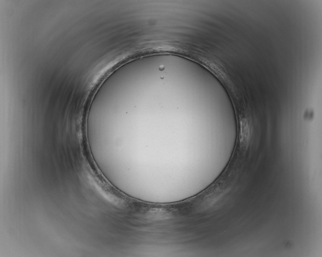 X0000112790390200909111217