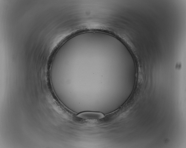 X0000112790391200909111217