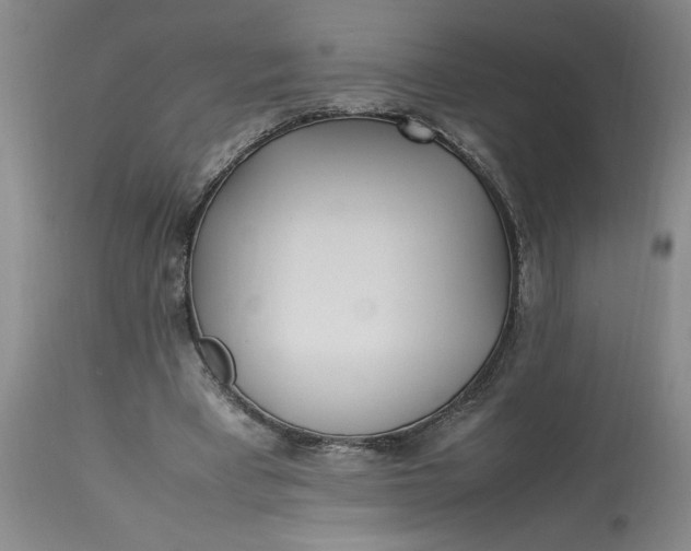 X0000112790393200909111217