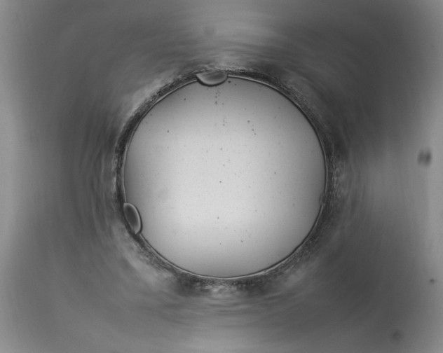 X0000112790395200909111217