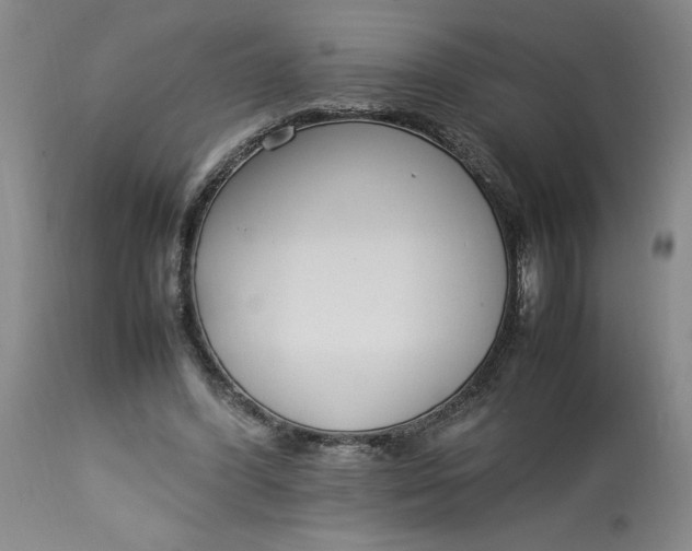 X0000112790396200909111217