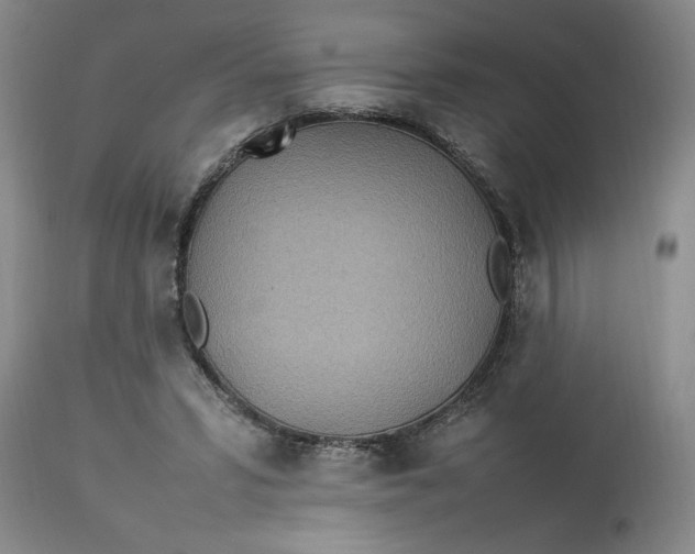 X0000112790399200909111217