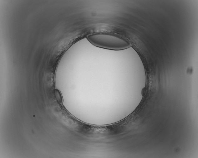 X0000112790401200909111217