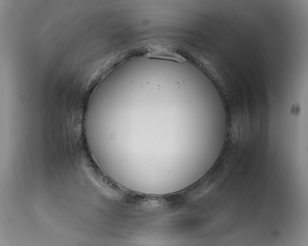 X0000112790402200909111217