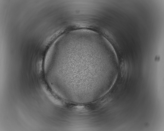 X0000112790406200909111217