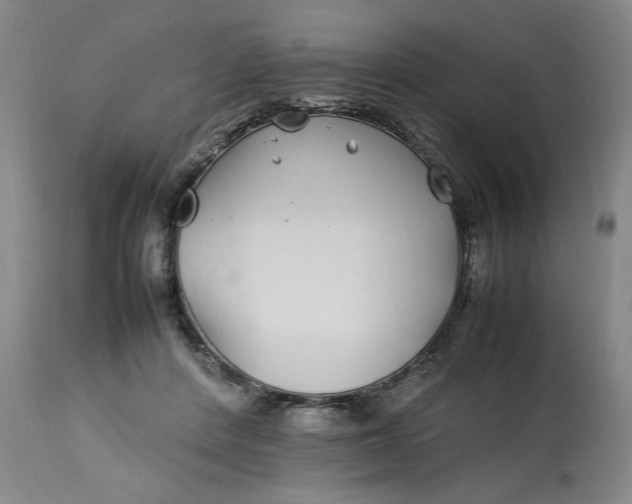 X0000112790408200909111217