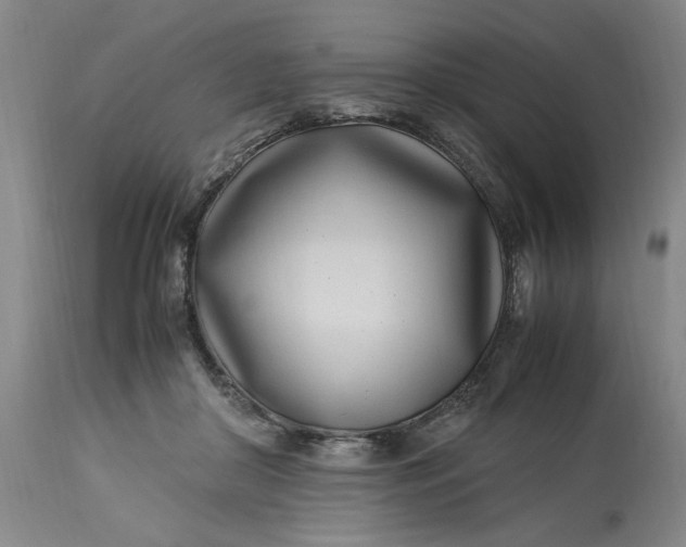 X0000112790410200909111217