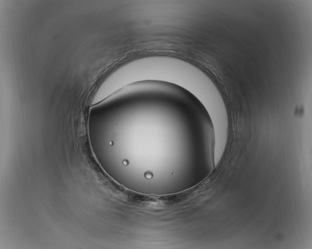 X0000112790411200909111217