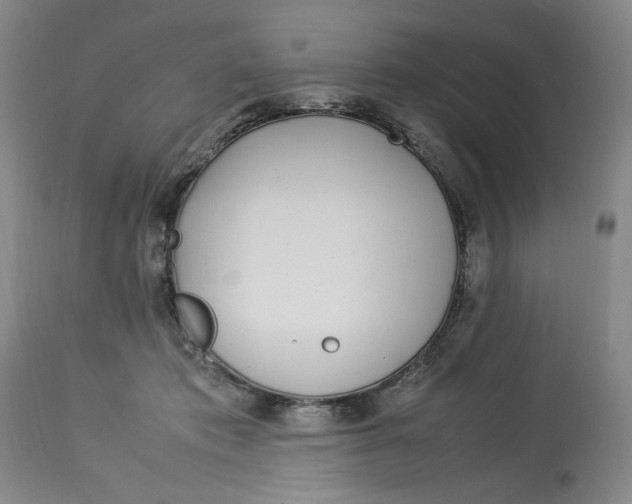 X0000112790413200909111217