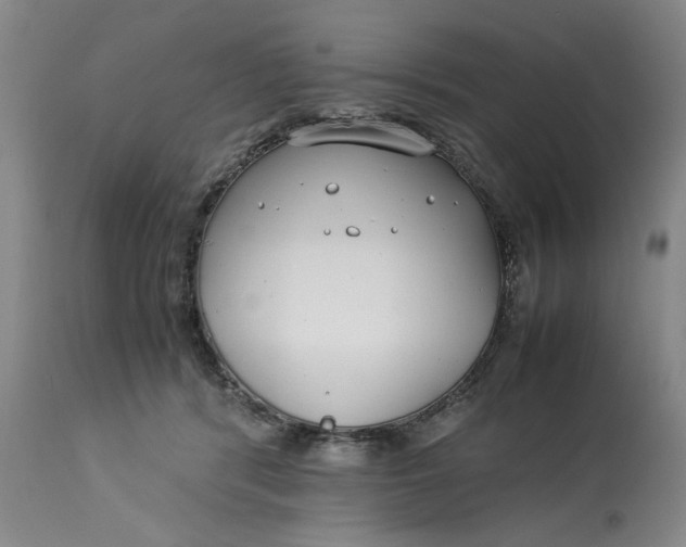 X0000112790416200909111217