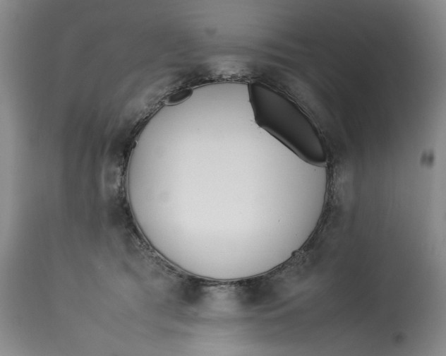 X0000112790417200909111217