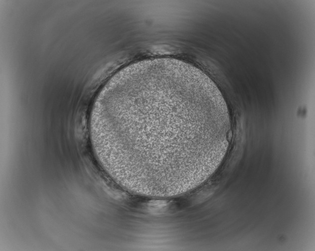 X0000112790418200909111217