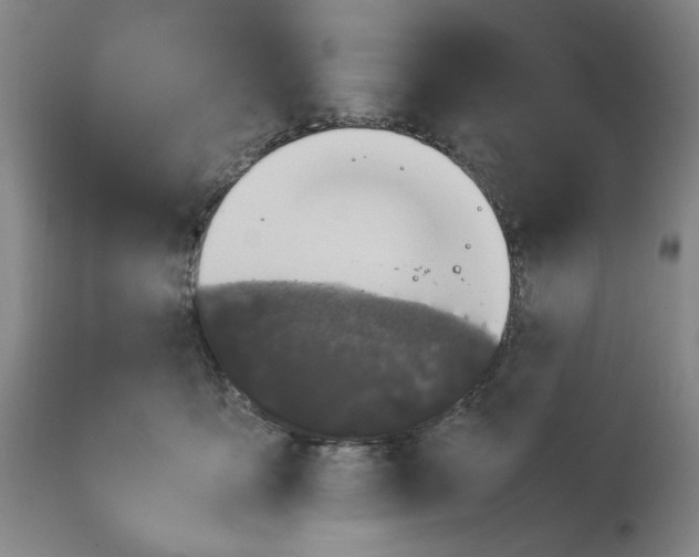 X0000112790419200909111217