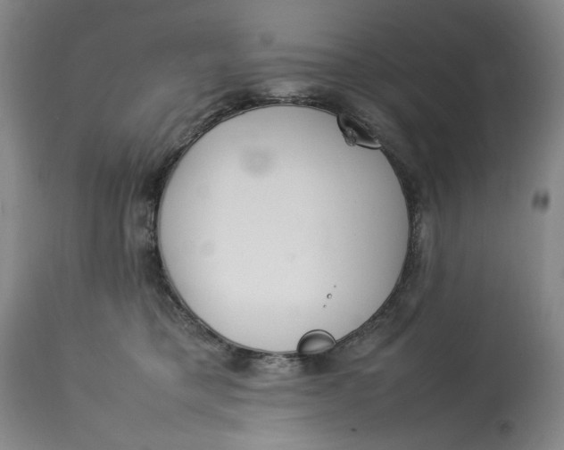 X0000112790421200909111217