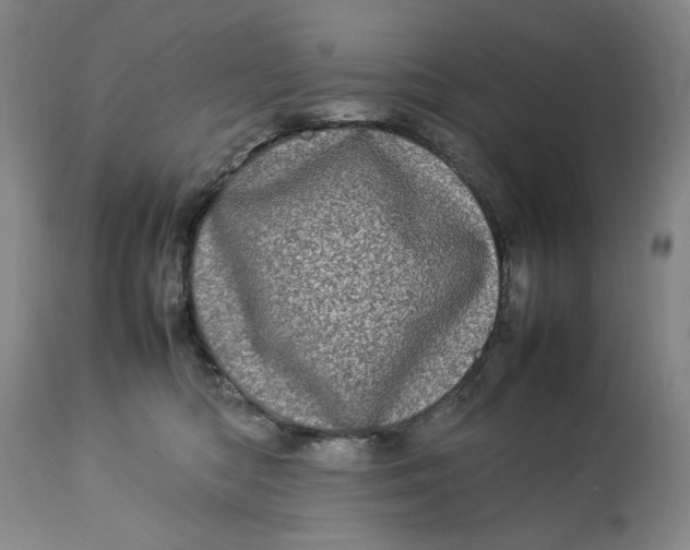 X0000112790422200909111217