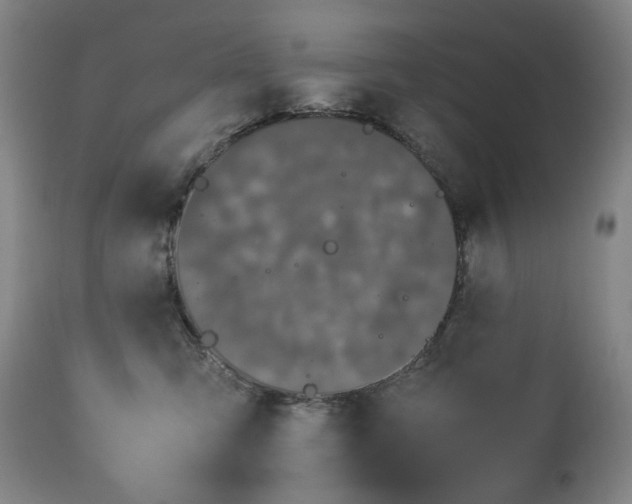 X0000112790423200909111217