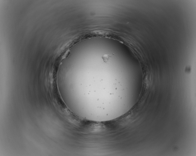 X0000112790424200909111217