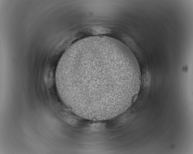 X0000112790426200909111217