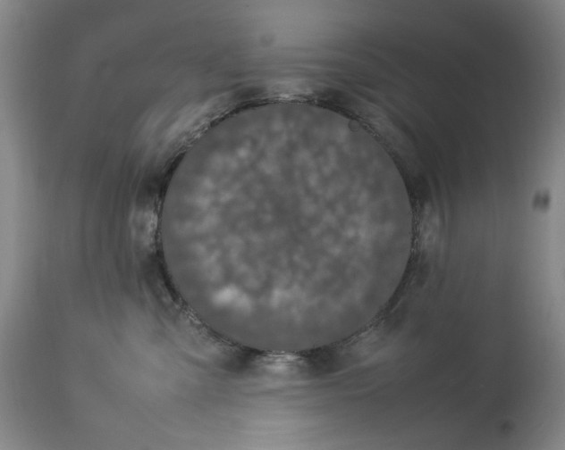 X0000112790427200909111217