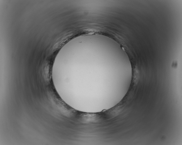 X0000112790428200909111217