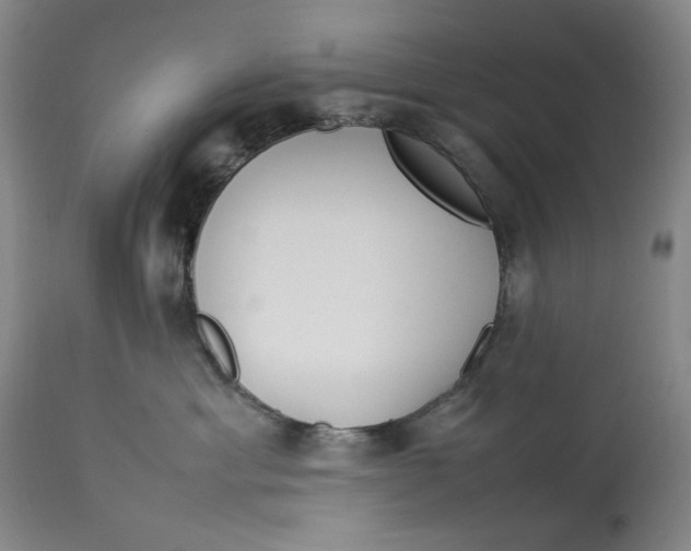 X0000112790429200909111217