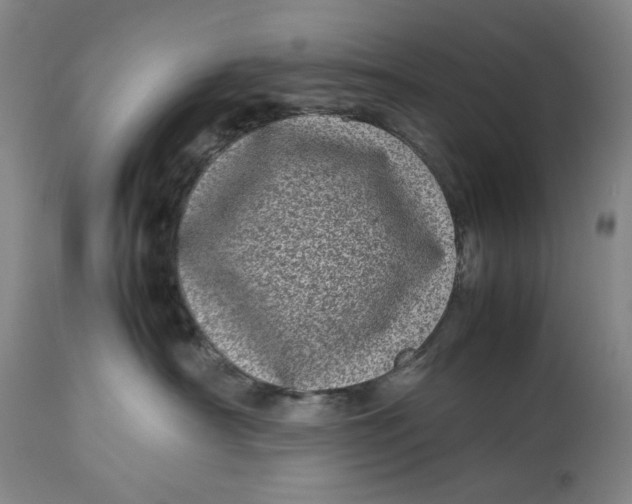 X0000112790430200909111217