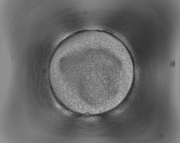 X0000112790433200909111216