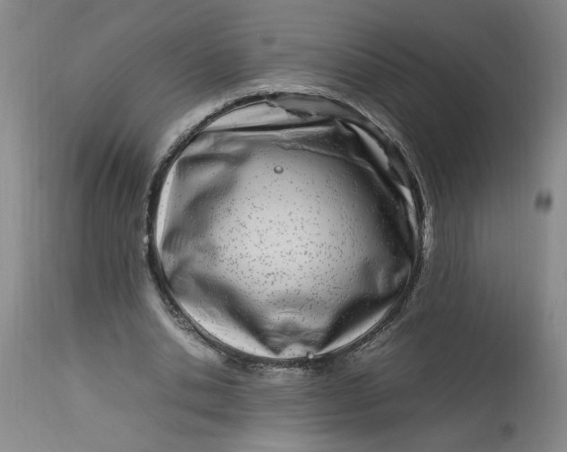 X0000112790438200909111216