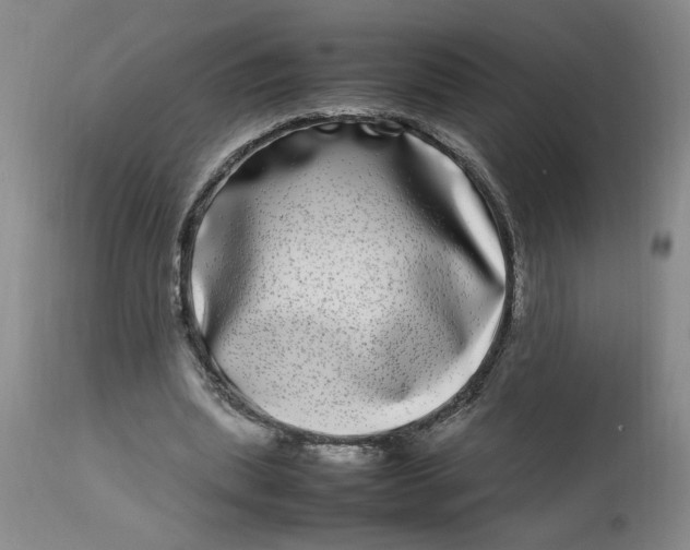 X0000112790439200909111216