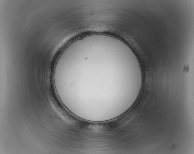 X0000112790440200909111216