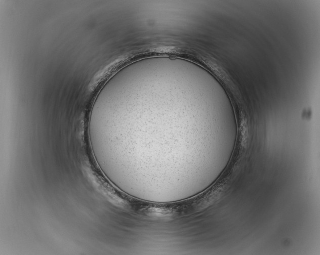 X0000112790442200909111216