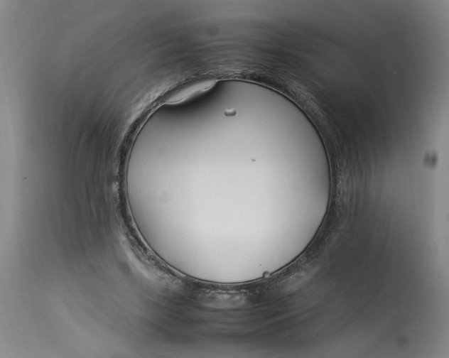 X0000112790443200909111216