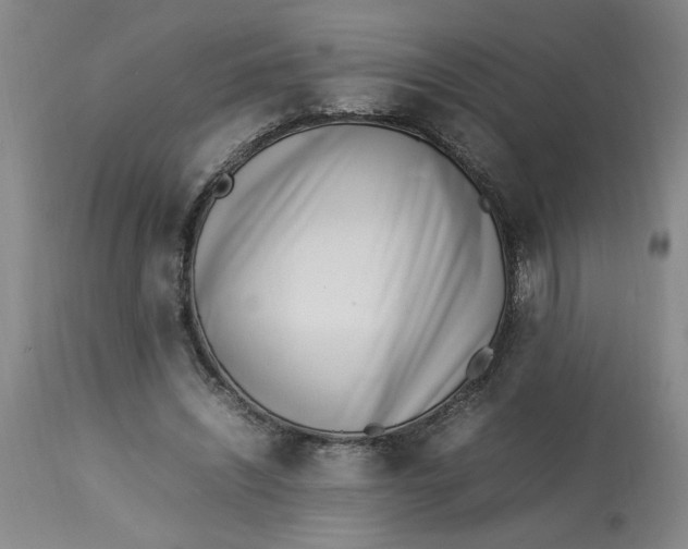 X0000112790444200909111216