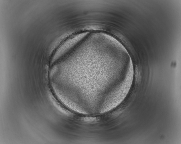 X0000112790445200909111216