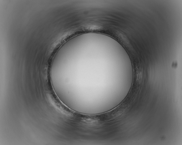 X0000112790447200909111216