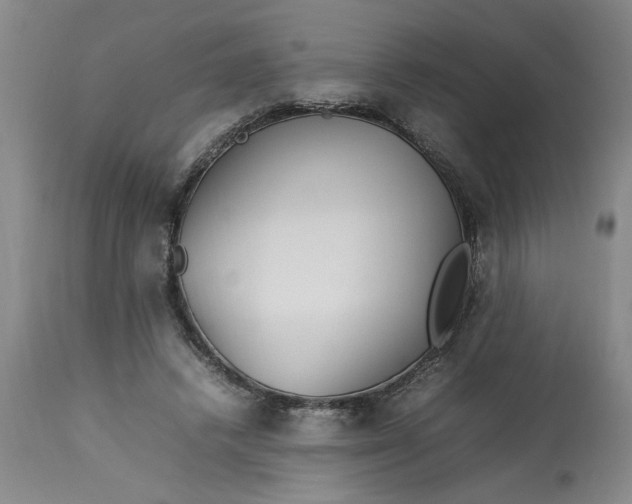 X0000112790448200909111216