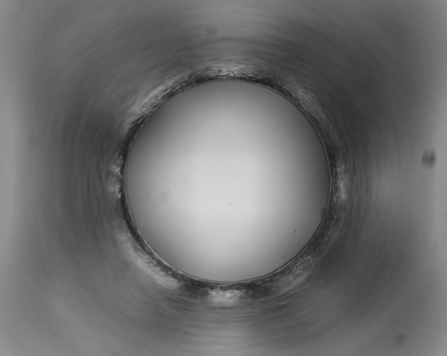 X0000112790450200909111216