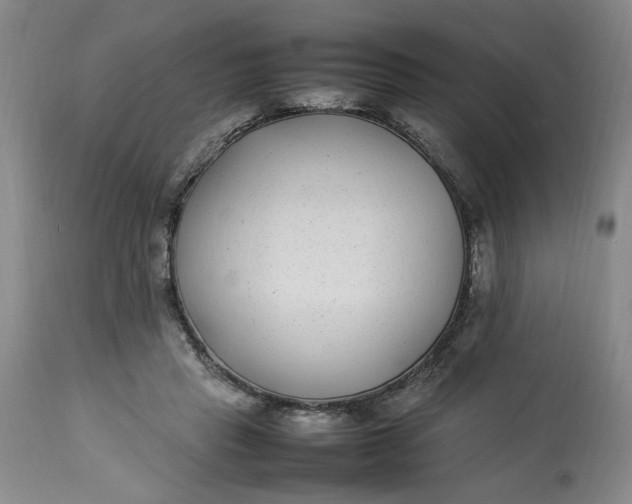 X0000112790453200909111216