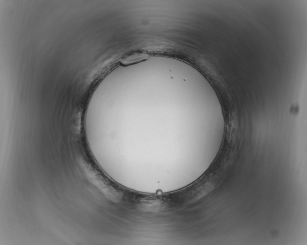 X0000112790454200909111216