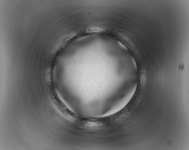 X0000112790455200909111216