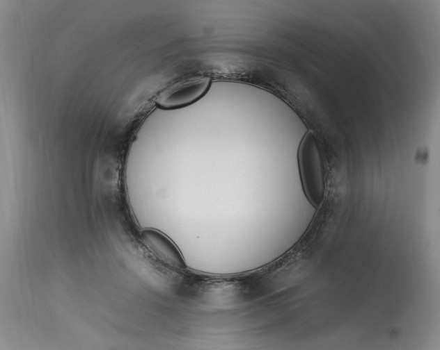 X0000112790456200909111216