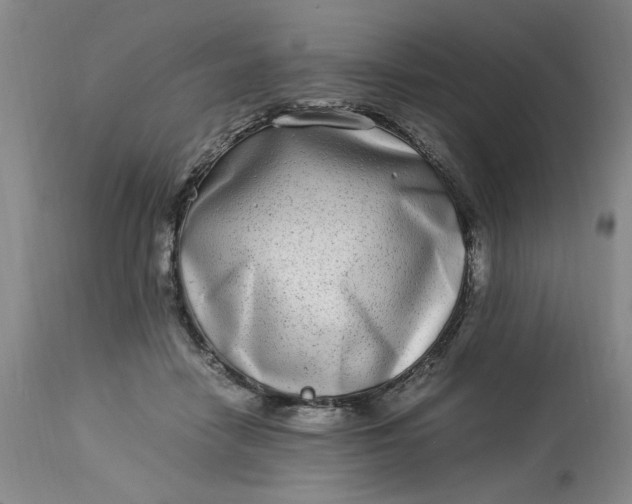 X0000112790458200909111216