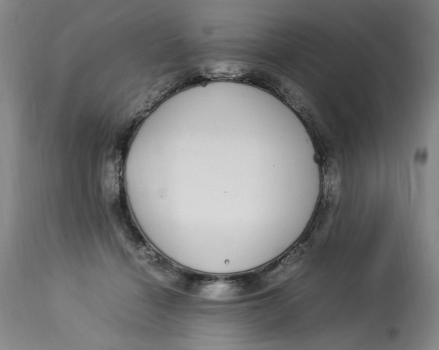 X0000112790460200909111216