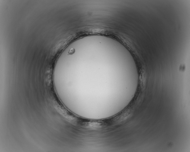 X0000112790462200909111216