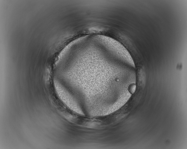 X0000112790463200909111216