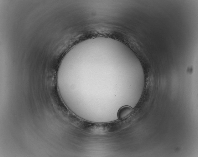 X0000112790464200909111216