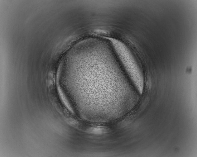 X0000112790467200909111216