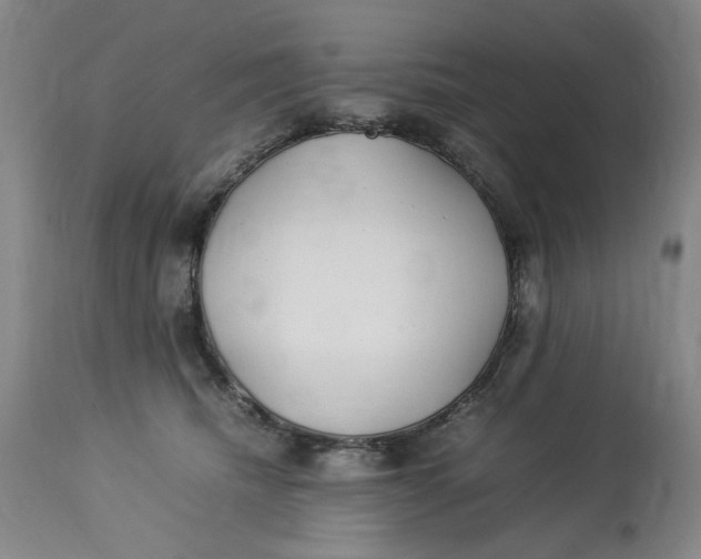 X0000112790468200909111216