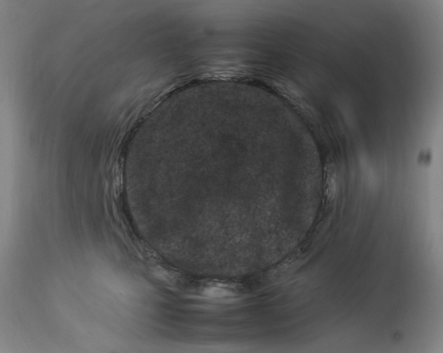 X0000112790471200909111216